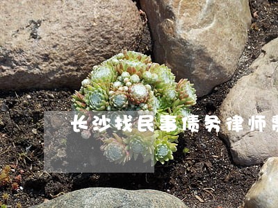 长沙找民事债务律师费用标准 长沙找民事债务律师费用标准