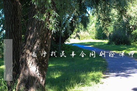 长沙找民事合同纠纷律师