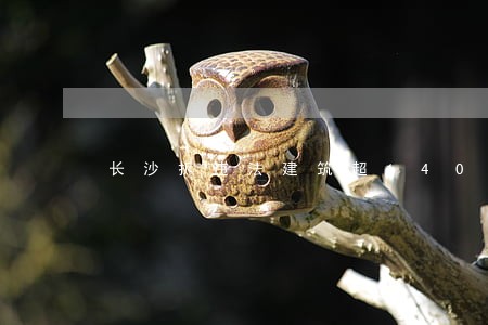 长沙拆违法建筑超1400万平 长沙拆违法建筑超1400万平