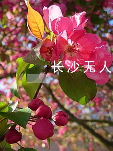 长沙无人机法规