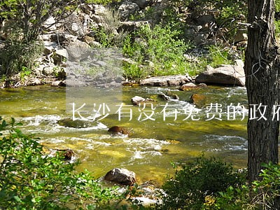 长沙有没有免费的政府法律咨询
