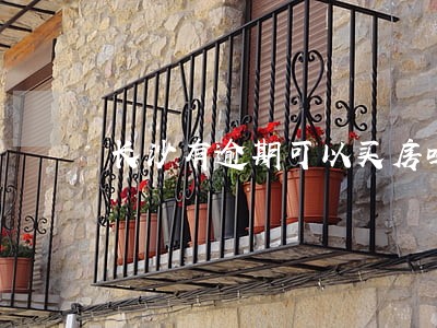 长沙有逾期可以买房吗 长沙有逾期可以买房吗