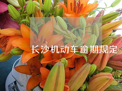 长沙机动车逾期规定 长沙机动车逾期规定