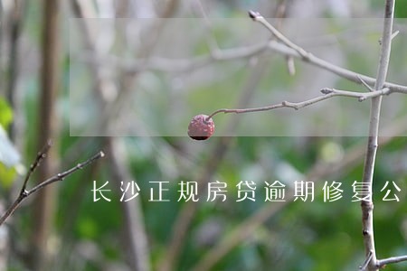 长沙正规房贷逾期修复公司
