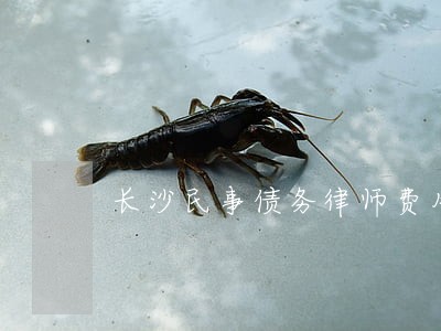 长沙民事债务律师费用标准 长沙民事债务律师费用标准