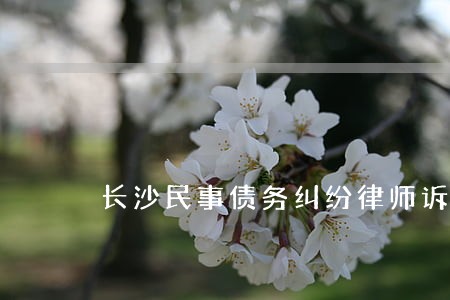 长沙民事债务纠纷律师诉讼费 长沙民事债务纠纷律师诉讼费