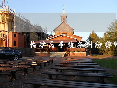 长沙民事债务纠纷律师费用
