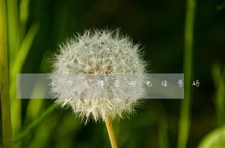 长沙法律咨询电话号码 长沙法律咨询电话号码