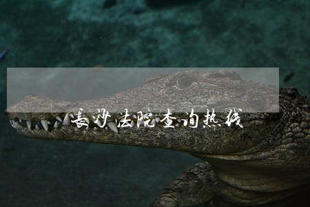 长沙法院查询热线