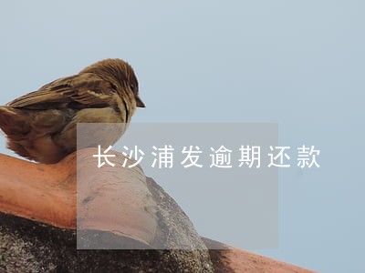 长沙浦发逾期还款 长沙浦发逾期还款
