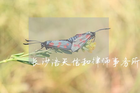 长沙浩天信和律师事务所 长沙浩天信和律师事务所