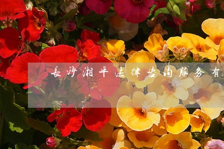 长沙湘平法律咨询服务有限公司 长沙湘平法律咨询服务有限公司