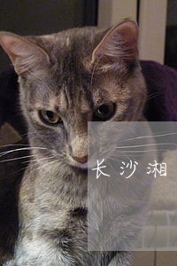 长沙湘龙家园房贷逾期房子被拍卖 长沙湘龙家园房贷逾期房子被拍卖