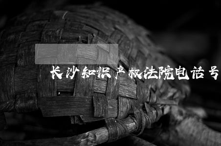 长沙知识产权法院电话号码