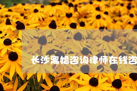 长沙离婚咨询律师在线咨询 长沙离婚咨询律师在线咨询