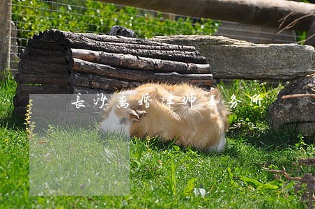 长沙离婚律师事务所 长沙离婚律师事务所