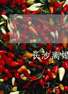 长沙离婚律师代理费用 长沙离婚律师代理费用
