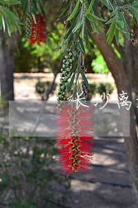 长沙离婚律师咨询免费咨询电话 长沙离婚律师咨询免费咨询电话