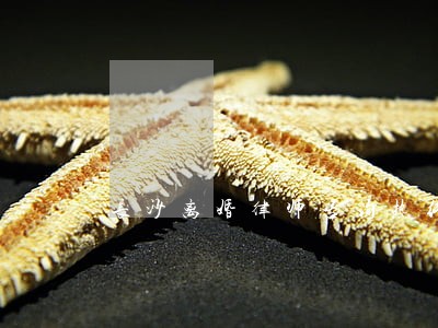 长沙离婚律师咨询热线免费咨询 长沙离婚律师咨询热线免费咨询