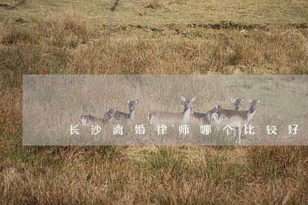 长沙离婚律师哪个比较好 长沙离婚律师哪个比较好