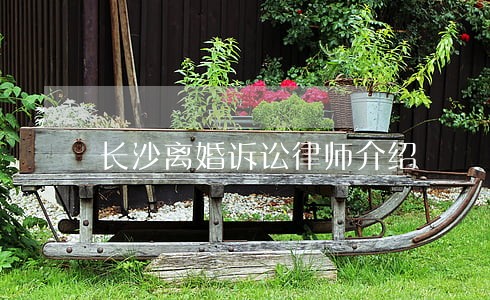 长沙离婚诉讼律师介绍 长沙离婚诉讼律师介绍