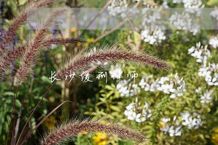 长沙缓刑律师 长沙缓刑律师