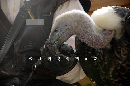 长沙网贷逾期五万 长沙网贷逾期五万