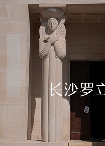 长沙罗立志律师律师 长沙罗立志律师律师