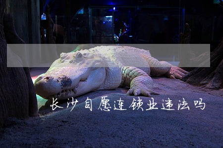 长沙自愿连锁业违法吗 长沙自愿连锁业违法吗