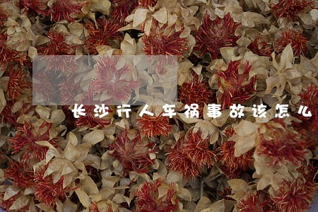长沙行人车祸事故该怎么样诉讼 长沙行人车祸事故该怎么样诉讼
