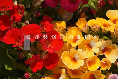长沙装修贷逾期四天 长沙装修贷逾期四天