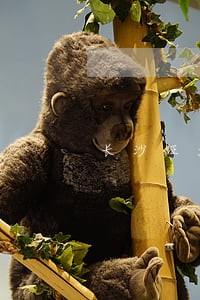 长沙证大财富逾期 长沙证大财富逾期