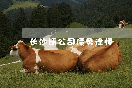 长沙请公司债务律师 长沙请公司债务律师