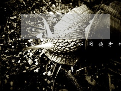 长沙较好的公司债务纠纷律师 长沙较好的公司债务纠纷律师