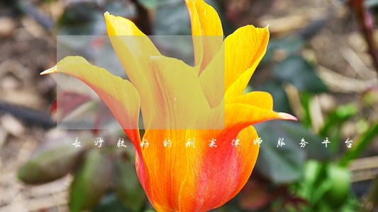 长沙较好的刑案律师服务平台 长沙较好的刑案律师服务平台