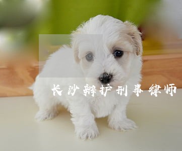 长沙辩护刑事律师