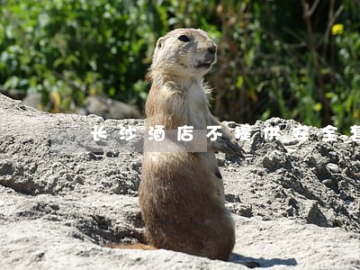 长沙酒店不提供安全套违法 长沙酒店不提供安全套违法