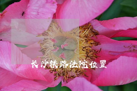 长沙铁路法院位置