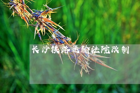 长沙铁路运输法院改制 长沙铁路运输法院改制