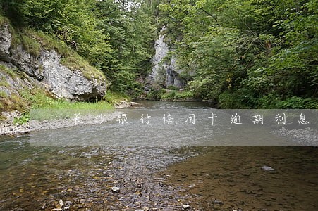 长沙银行信用卡逾期利息多少