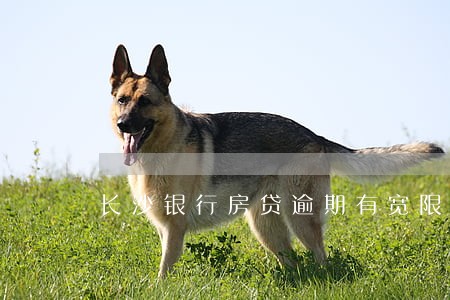 长沙银行房贷逾期有宽限期吗 长沙银行房贷逾期有宽限期吗