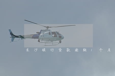 长沙银行贷款逾期1个月 长沙银行贷款逾期1个月