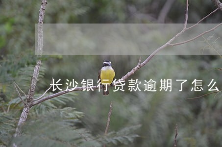 长沙银行贷款逾期了怎么还 长沙银行贷款逾期了怎么还