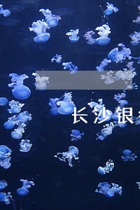 长沙银行车贷逾期了 长沙银行车贷逾期了