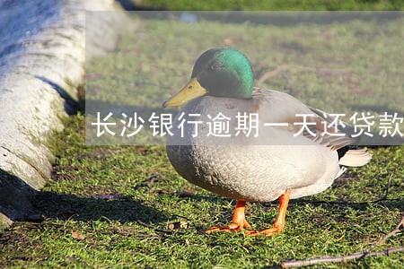 长沙银行逾期一天还贷款 长沙银行逾期一天还贷款