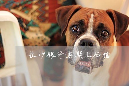 长沙银行逾期上征信 长沙银行逾期上征信