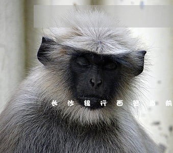 长沙银行面签当前有逾期 长沙银行面签当前有逾期