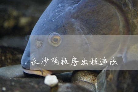 长沙隔板房出租违法 长沙隔板房出租违法