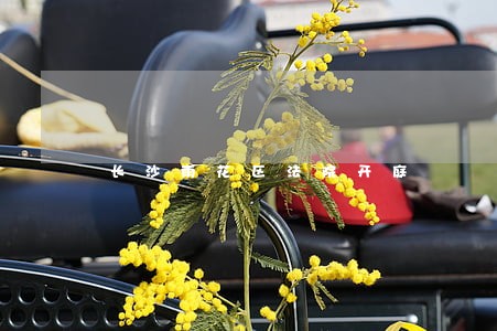 长沙雨花区法院开庭 长沙雨花区法院开庭