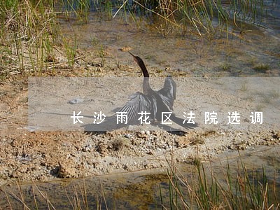 长沙雨花区法院选调 长沙雨花区法院选调